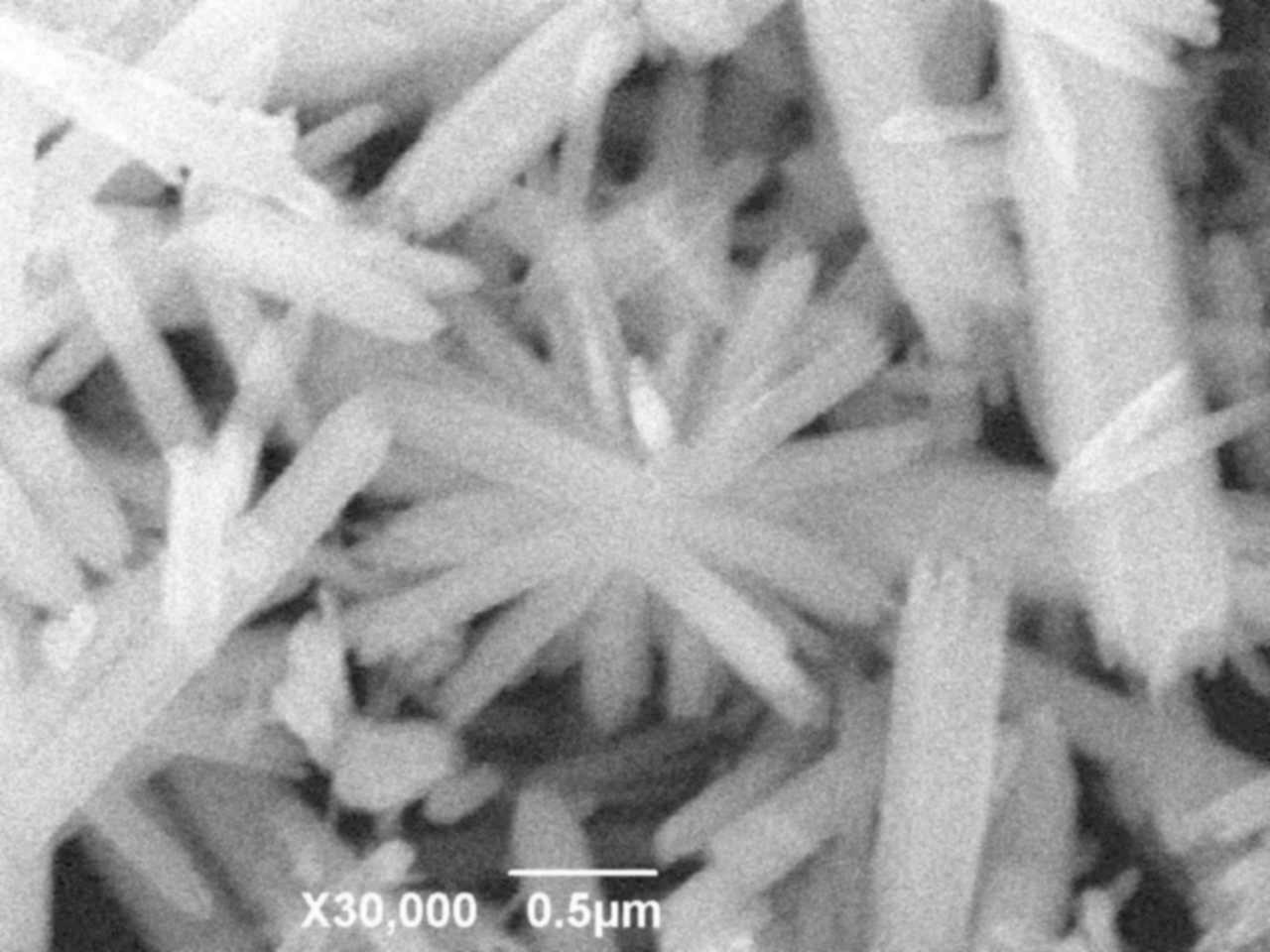 Фотографія наночастинок ZnO отримана електронною скануючою мікроскопією
